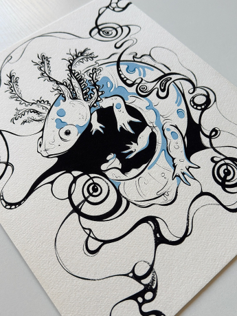 axolotl1