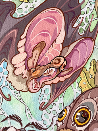 eyes3